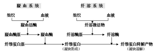 云南白药牙m6米乐网页版登录入口膏止血风波：功效牙膏未必有功效(图4)